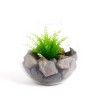 Dekoracja do terrarium z rośliną